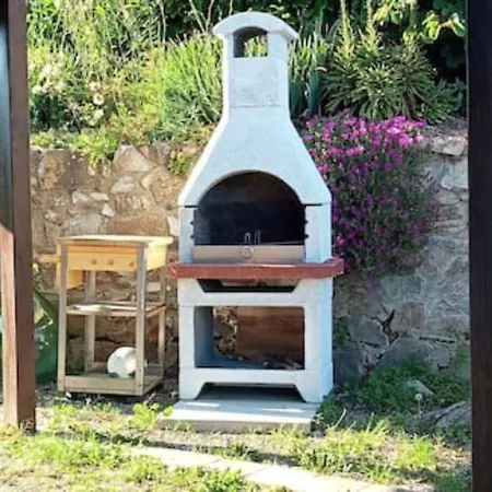 Querciagrossa Da Dora * Roccastrada