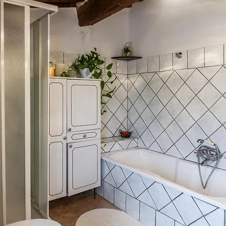 Querciagrossa Da Dora * Roccastrada