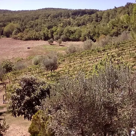 Querciagrossa Da Dora * Roccastrada